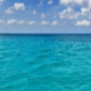 Meet your Posher, Leeann